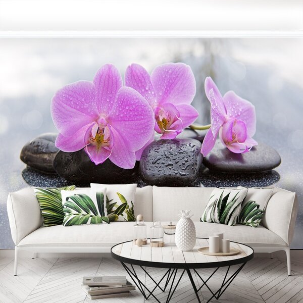 Carta da parati Pietre di orchidee 104x70 cm