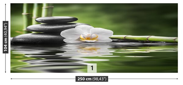Carta da parati Orchidea e zen 104x70 cm