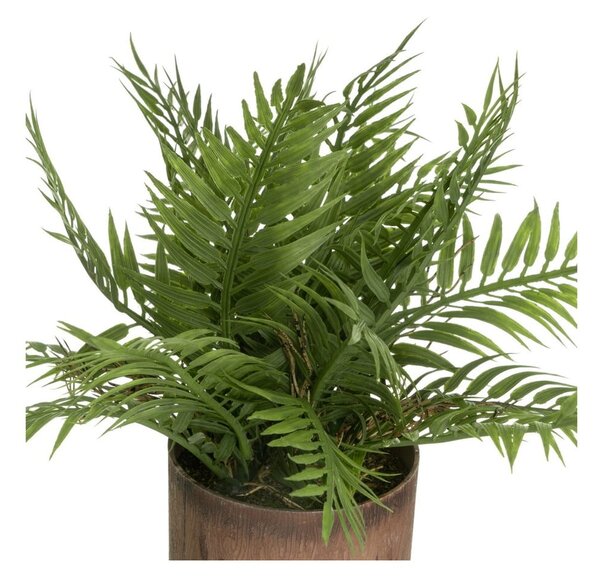 Piante artificiali in set da 2 (altezza 22 cm) - Casa Selección
