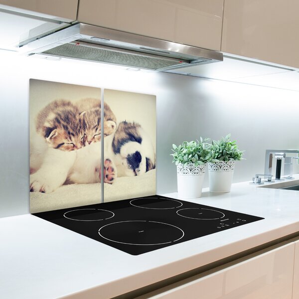 Tagliere in vetro temperato Due gatti e un cane 60x52 cm