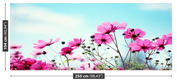 Carta da parati Cielo dei fiori 104x70 cm