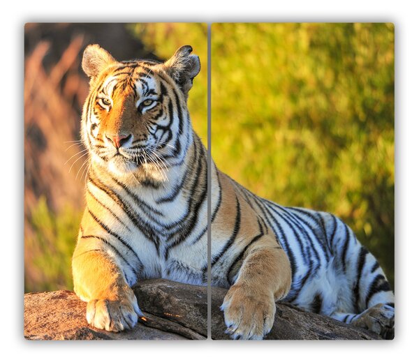 Tagliere in vetro Ritratto di una tigre 60x52 cm