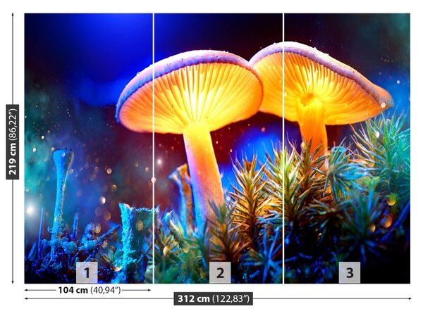 Carta da parati Funghi forestali 104x70 cm