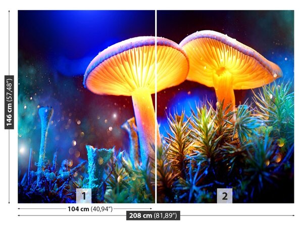 Carta da parati Funghi forestali 104x70 cm
