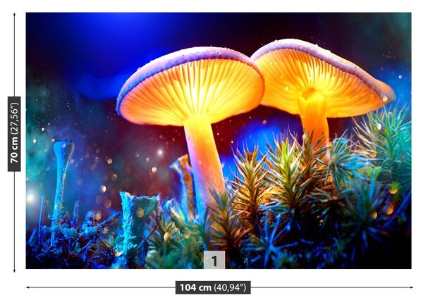 Carta da parati Funghi forestali 104x70 cm