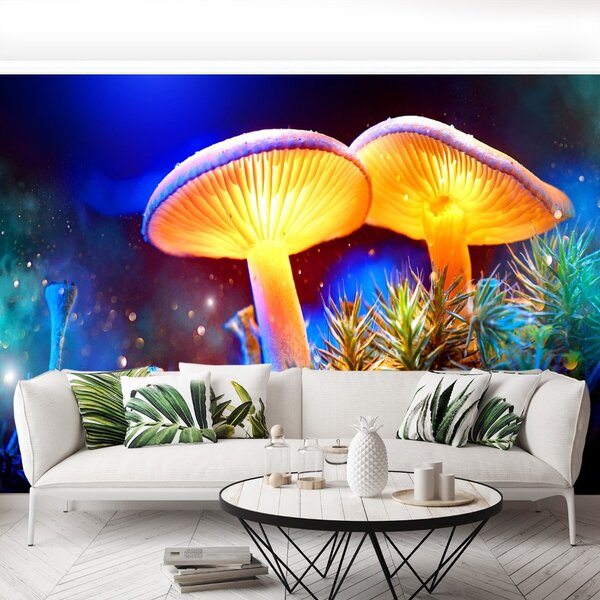 Carta da parati Funghi forestali 104x70 cm