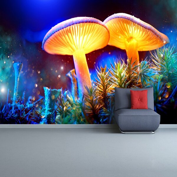 Carta da parati Funghi forestali 104x70 cm