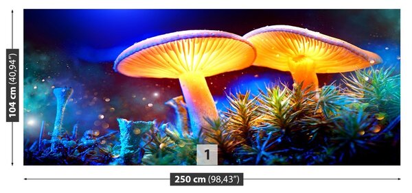 Carta da parati Funghi forestali 104x70 cm