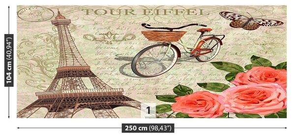 Carta da parati Paris vintage 104x70 cm