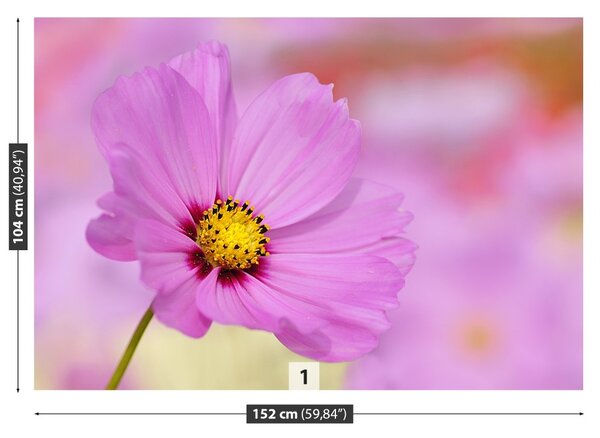 Carta da parati Spazio rosa 104x70 cm