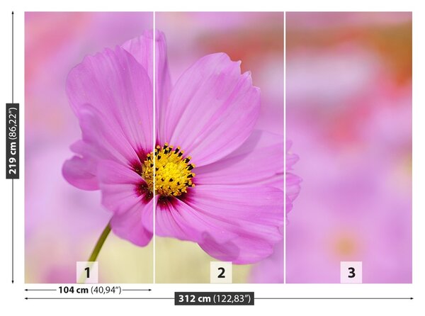 Carta da parati Spazio rosa 104x70 cm