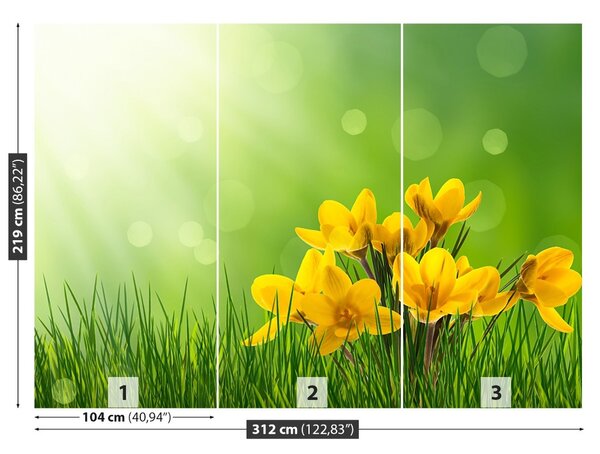 Carta da parati Crocus verdi 104x70 cm