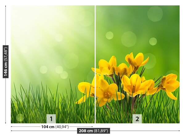 Carta da parati Crocus verdi 104x70 cm