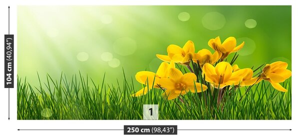 Carta da parati Crocus verdi 104x70 cm