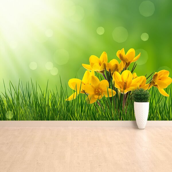 Carta da parati Crocus verdi 104x70 cm