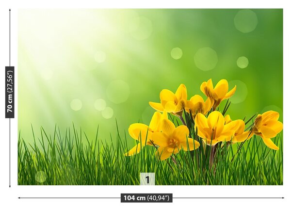 Carta da parati Crocus verdi 104x70 cm