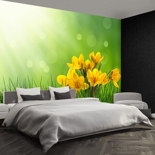 Carta da parati Crocus verdi 104x70 cm