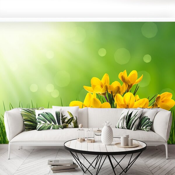 Carta da parati Crocus verdi 104x70 cm