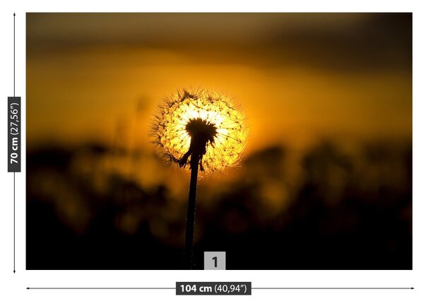 Carta da parati Dente di leone 104x70 cm