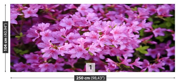Carta da parati Rhododendron Pink 104x70 cm