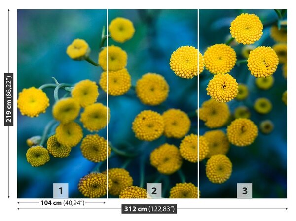 Carta da parati Fiori gialli 104x70 cm