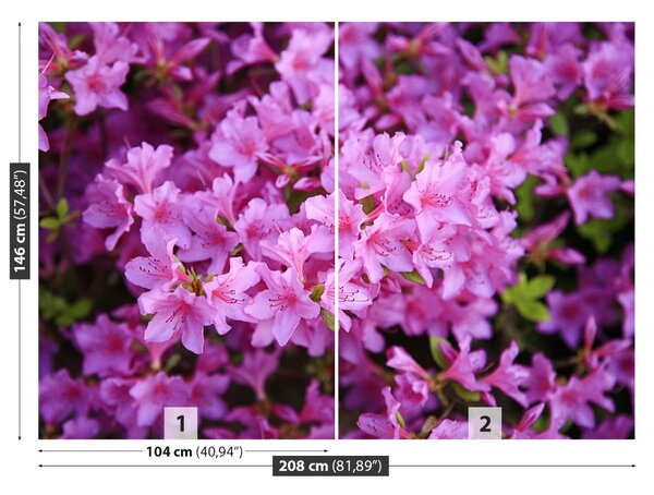 Carta da parati Rhododendron Pink 104x70 cm