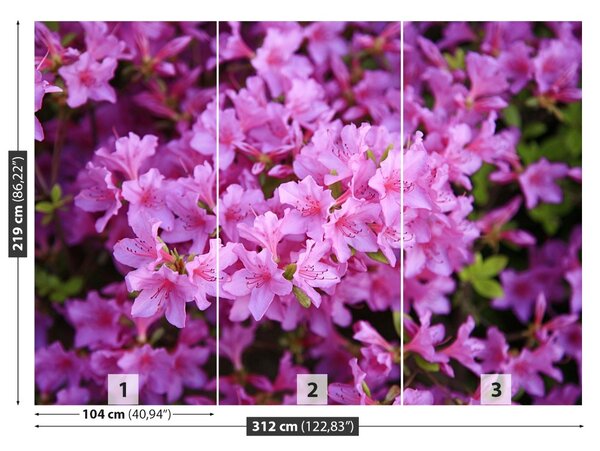 Carta da parati Rhododendron Pink 104x70 cm