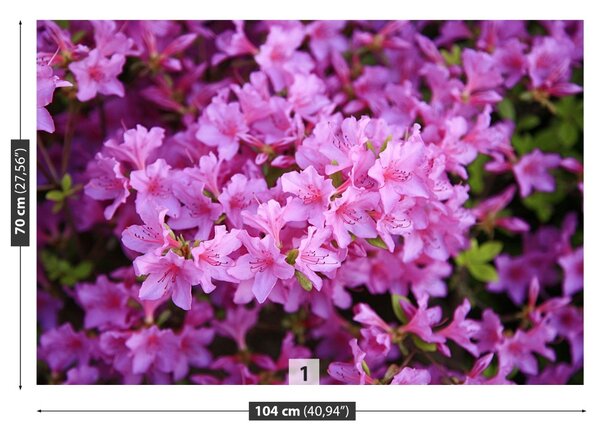 Carta da parati Rhododendron Pink 104x70 cm