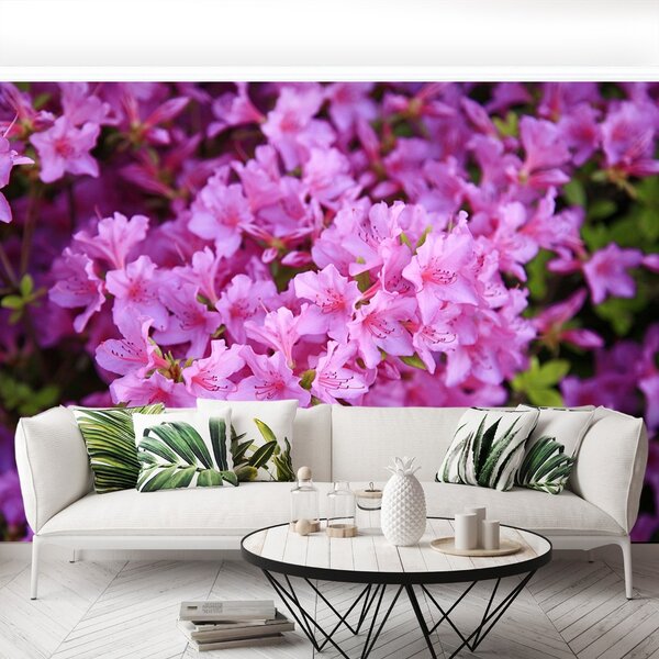 Carta da parati Rhododendron Pink 104x70 cm