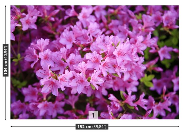 Carta da parati Rhododendron Pink 104x70 cm