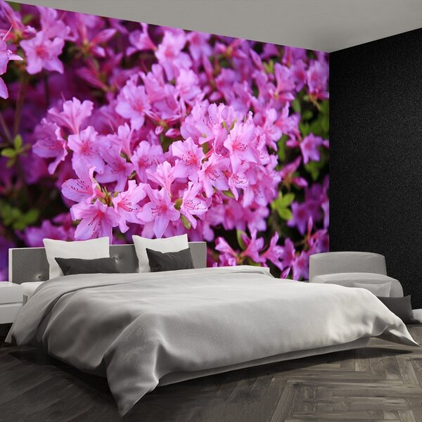 Carta da parati Rhododendron Pink 104x70 cm