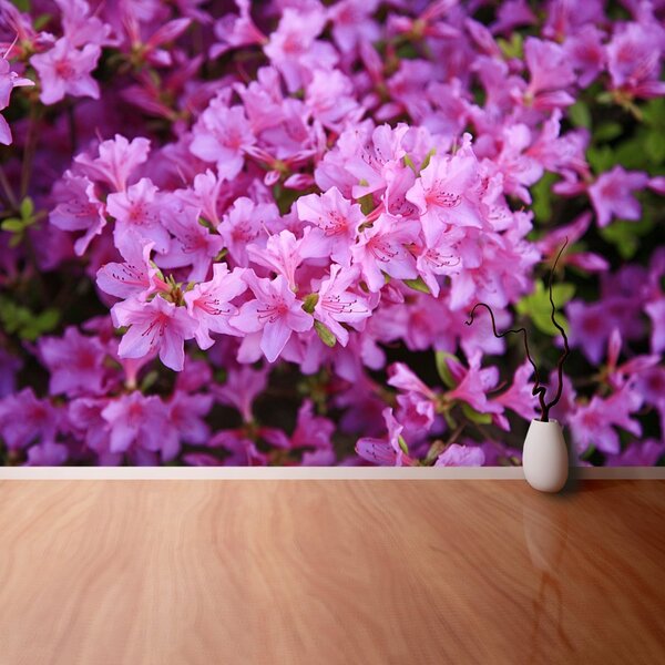 Carta da parati Rhododendron Pink 104x70 cm