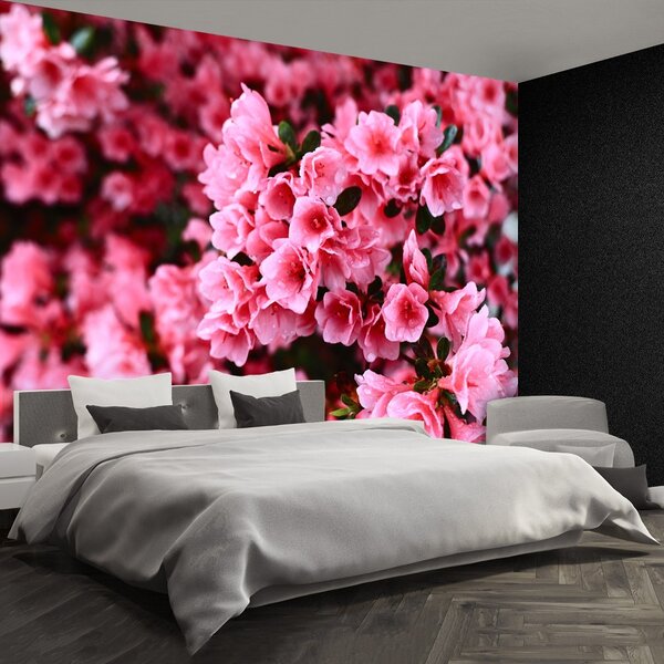 Carta da parati Rhododendron rosa 104x70 cm