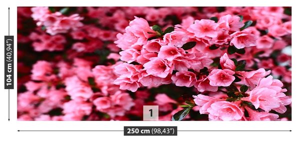 Carta da parati Rhododendron rosa 104x70 cm