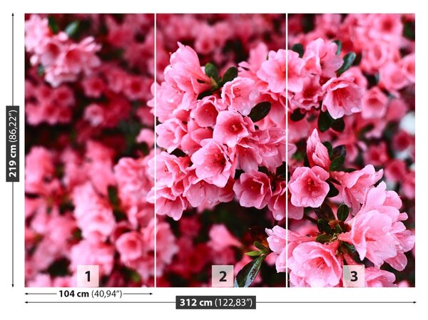 Carta da parati Rhododendron rosa 104x70 cm