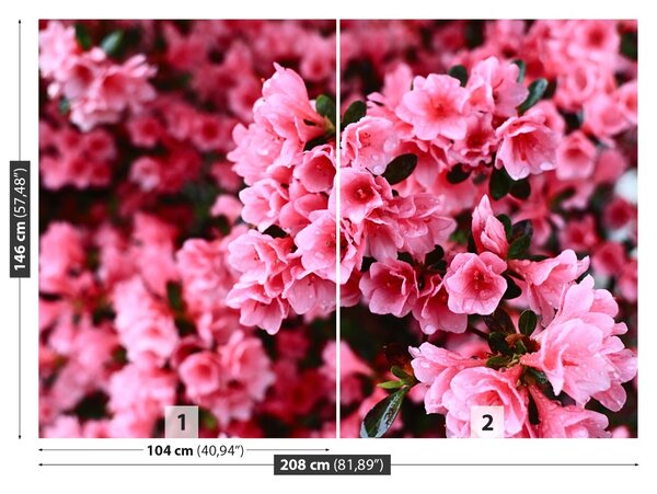 Carta da parati Rhododendron rosa 104x70 cm
