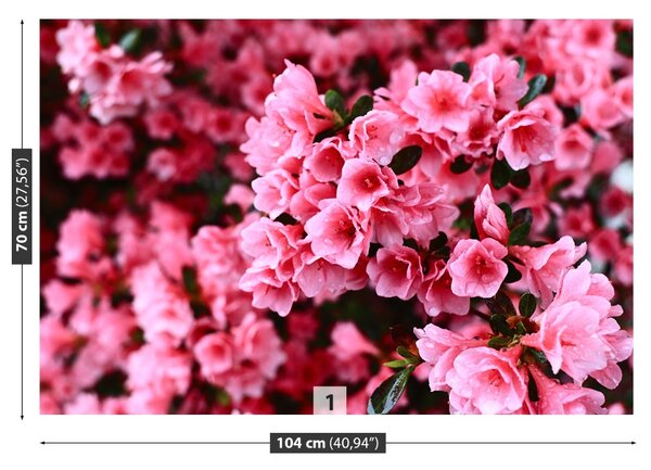 Carta da parati Rhododendron rosa 104x70 cm