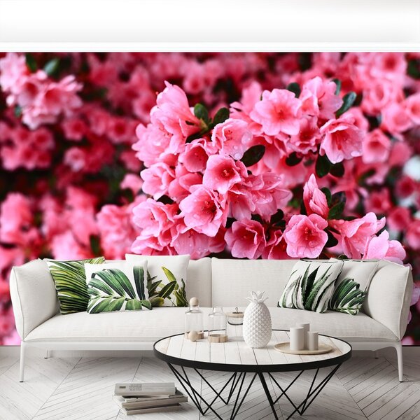Carta da parati Rhododendron rosa 104x70 cm