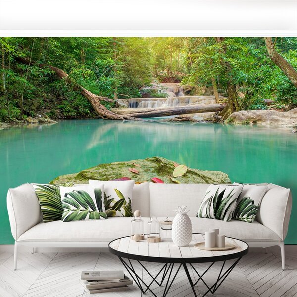 Carta da parati Foresta fitta 104x70 cm