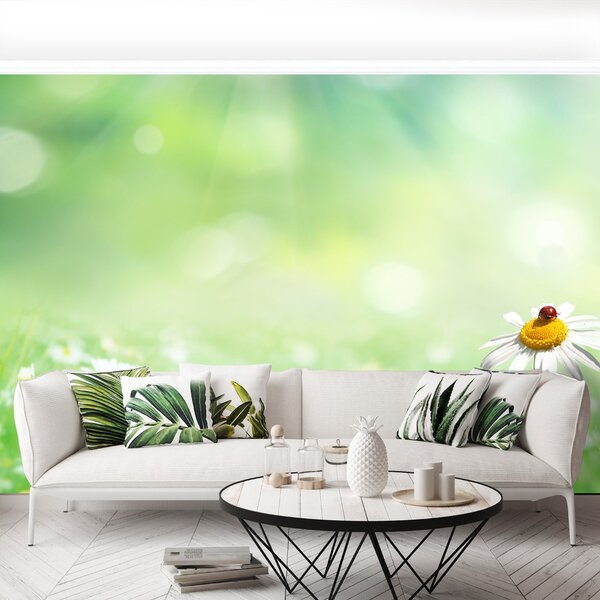 Carta da parati Camomilla verde 104x70 cm