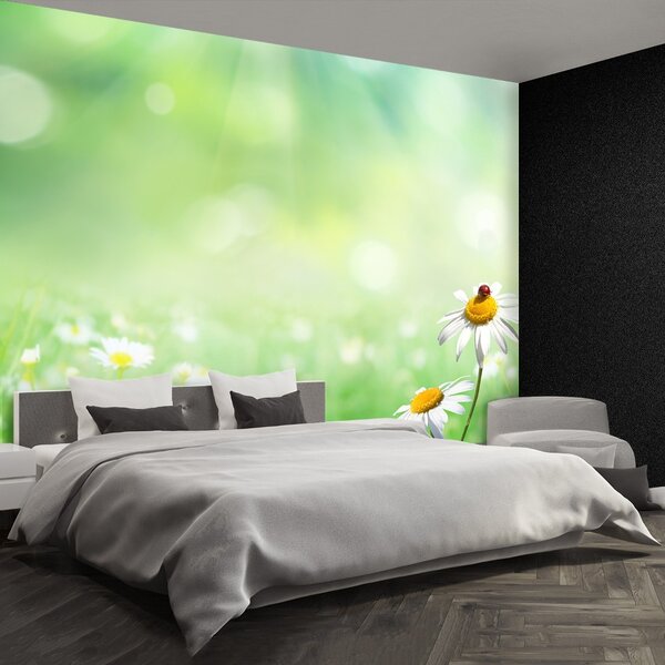 Carta da parati Camomilla verde 104x70 cm