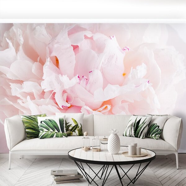 Carta da parati Peonia rosa 104x70 cm