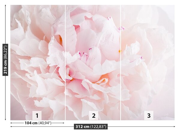 Carta da parati Peonia rosa 104x70 cm