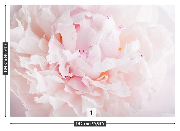 Carta da parati Peonia rosa 104x70 cm