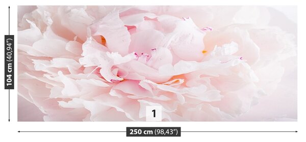 Carta da parati Peonia rosa 104x70 cm