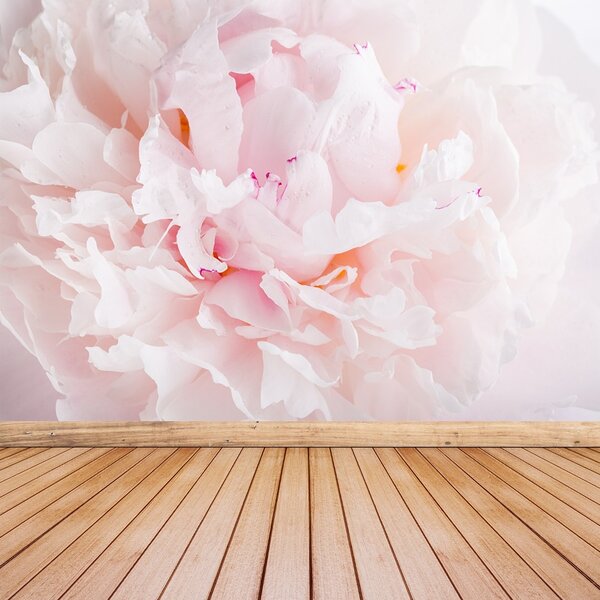 Carta da parati Peonia rosa 104x70 cm