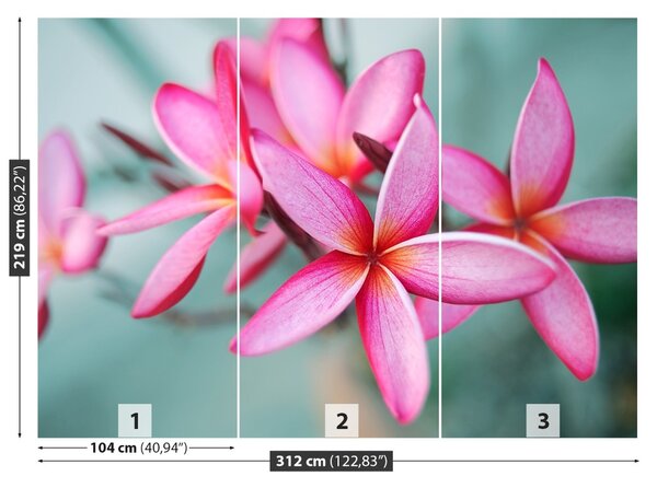 Carta da parati Plumeria rosa 104x70 cm