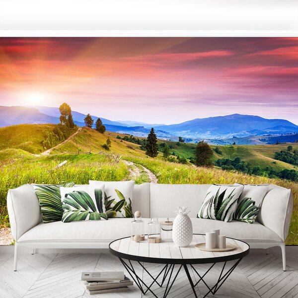 Carta da parati Colline fiorite 104x70 cm