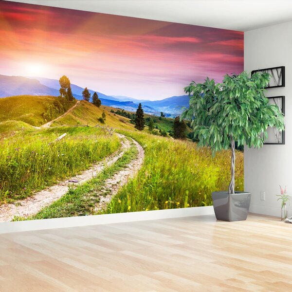 Carta da parati Colline fiorite 104x70 cm