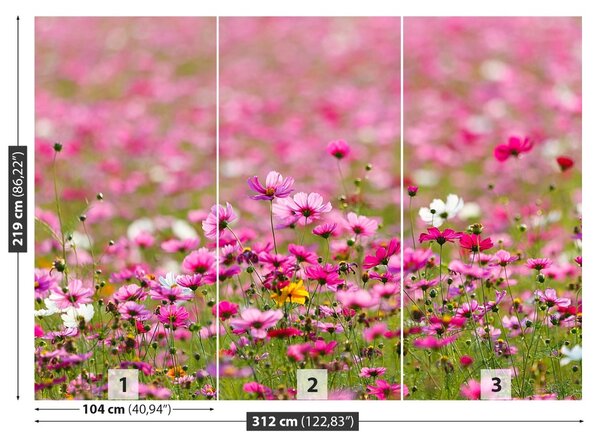 Carta da parati Fiori spaziali 104x70 cm